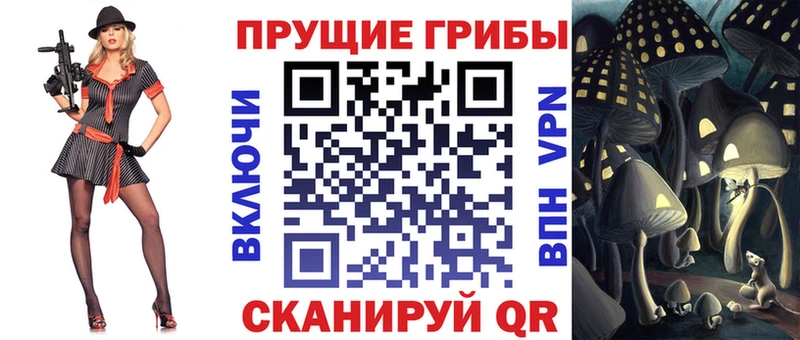 даркнет официальный сайт  Ессентуки  Галлюциногенные грибы мицелий  наркотики 