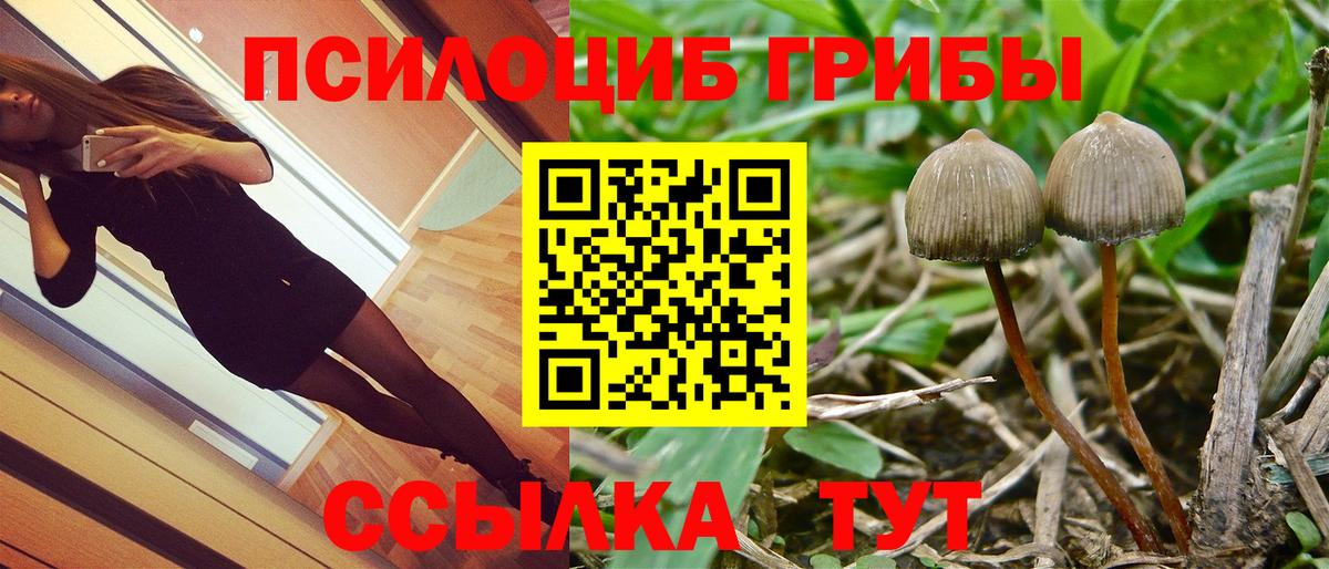 Ессентуки  Галлюциногенные грибы прущие грибы  Вход с VPN 
